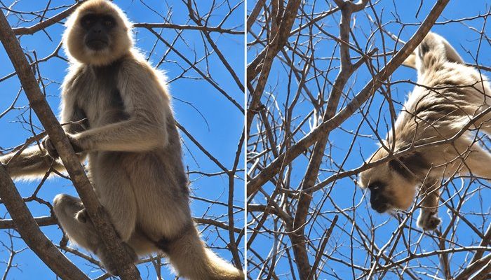 Foto: Reprodução e melhorado a qualidade com IA
