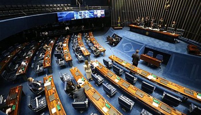 Plenário do Senado (Foto: Divulgação)