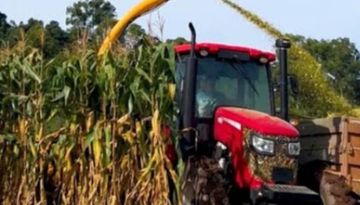 Foto: Meramente ilustrativa