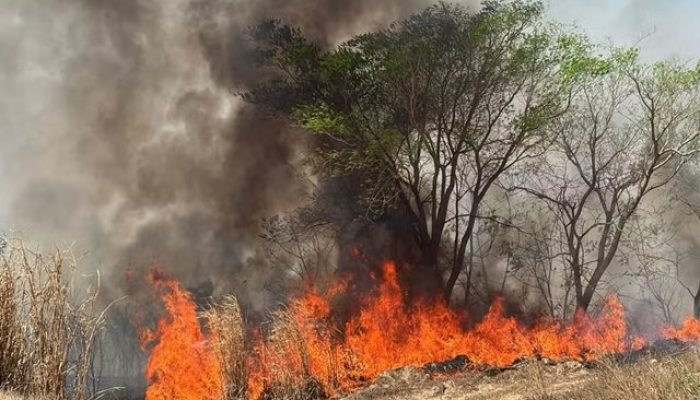 Foto: Meramente ilustrativa