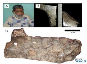 Meteorito Palmas de Monte Alto: (A) Francisco da Cruz, o descobridor; (B) fatias retiradas da massa principal e utilizadas neste estudo; (C) massa principal. (Foto: Divulgação)