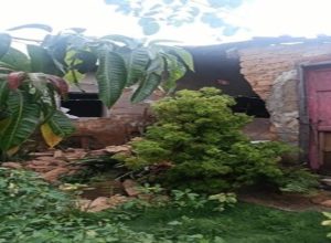 (Foto: Divulgação/17º BPM)