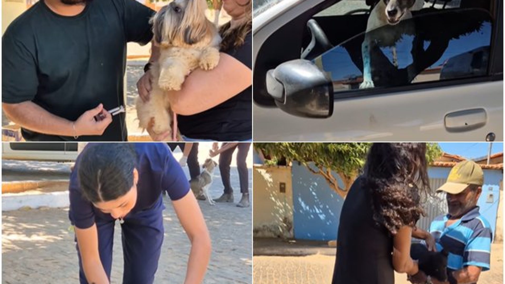 (Foto: Reprodução)