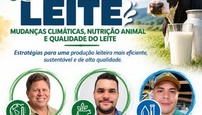 (Foto: Reprodução)