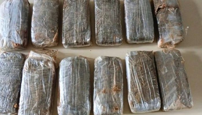 (Foto: Divulgação/CIPE Sudoeste)