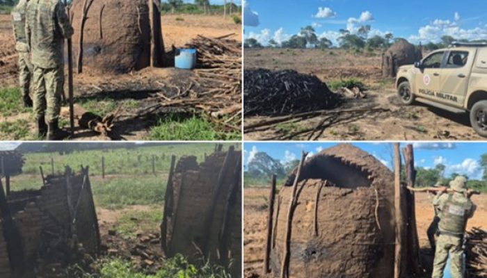 (Foto: Divulgação/PM)