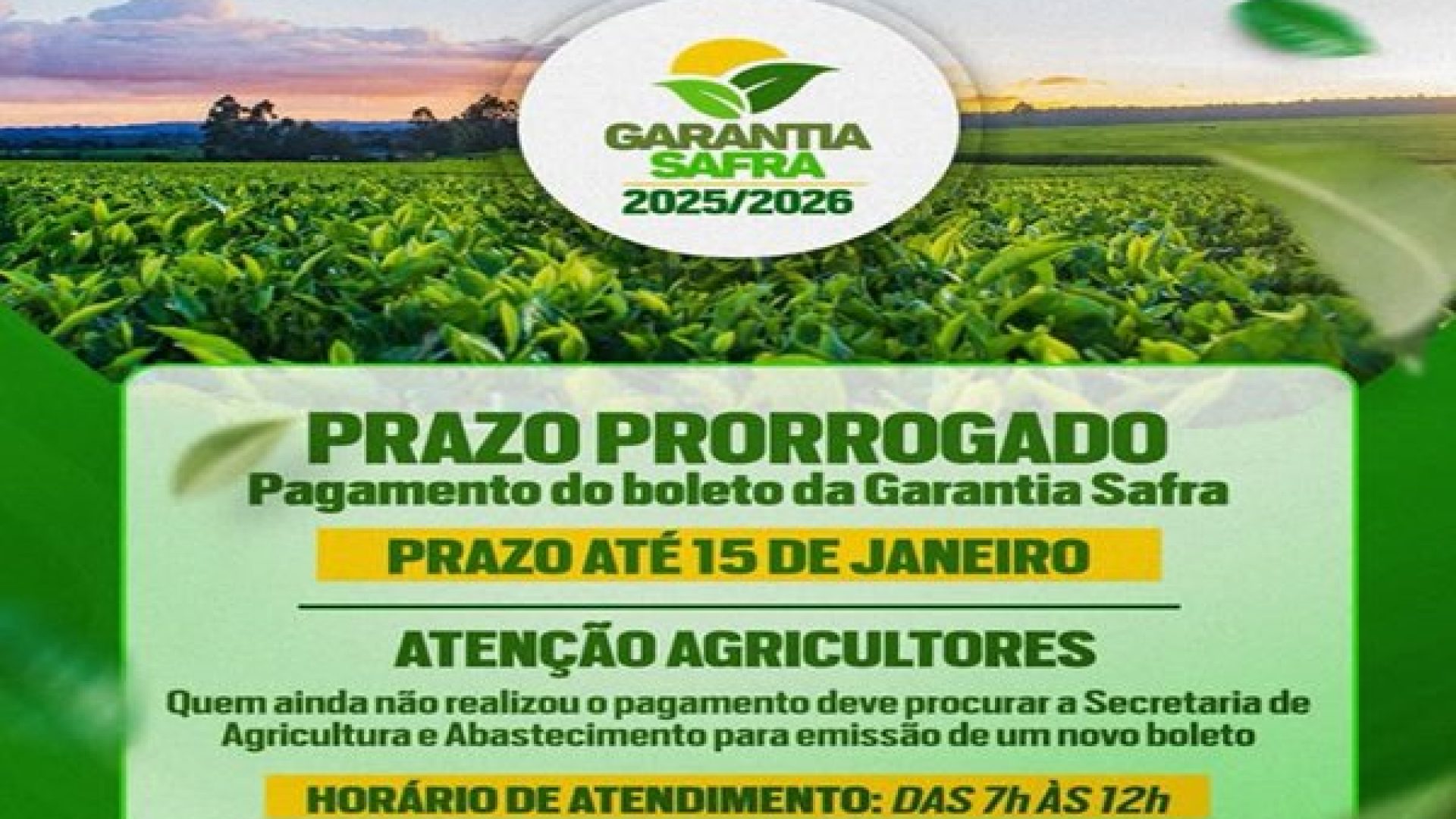 (Foto: Reprodução)