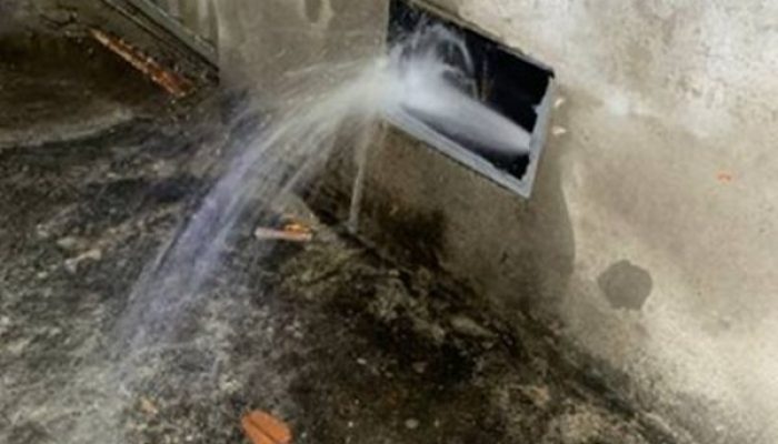 (Foto: Divulgação/17º BPM)