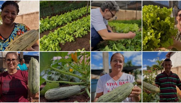 (Foto: Reprodução)