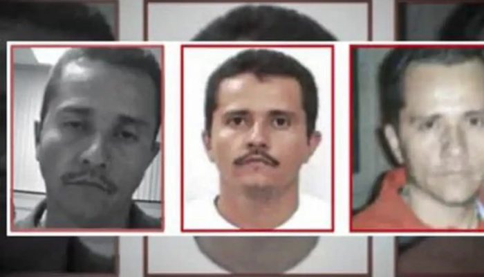 (Foto: Reprodução)