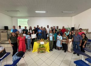 (Foto: Reprodução)