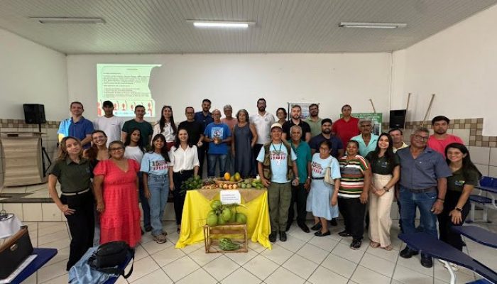 (Foto: Reprodução)