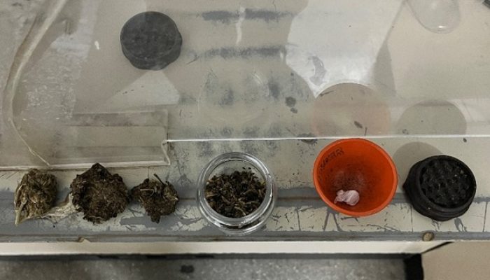 (Foto: Divulgação/17ºBPM)