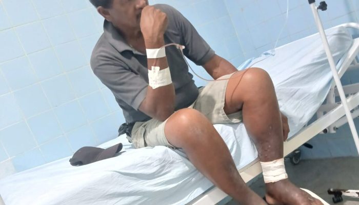 (Foto: Divulgação)