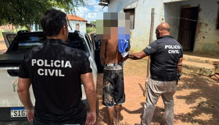 (Foto: Divulgação/Polícia Civil)