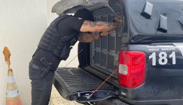 (Foto: Divulgação/Polícia Civil)