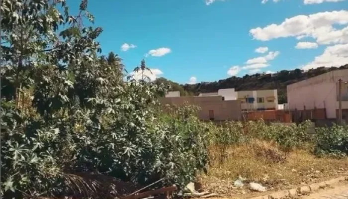 (Foto: Reprodução)