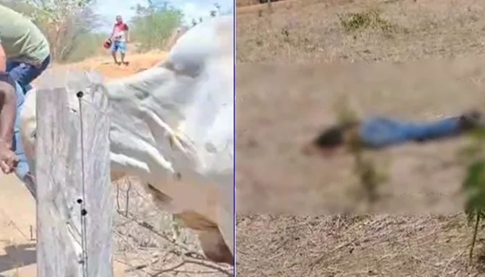 Foto: Reprodução Alerta Bahia