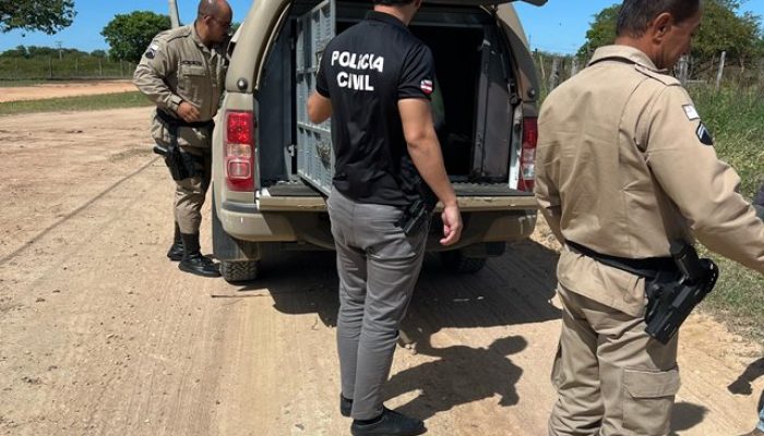 Foto: Divulgação