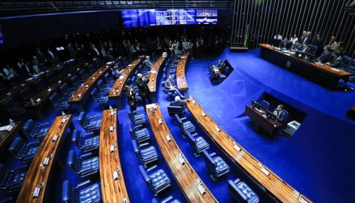 Senado Federal (Foto: Reprodução)