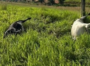 Foto: Meramente ilustrativa